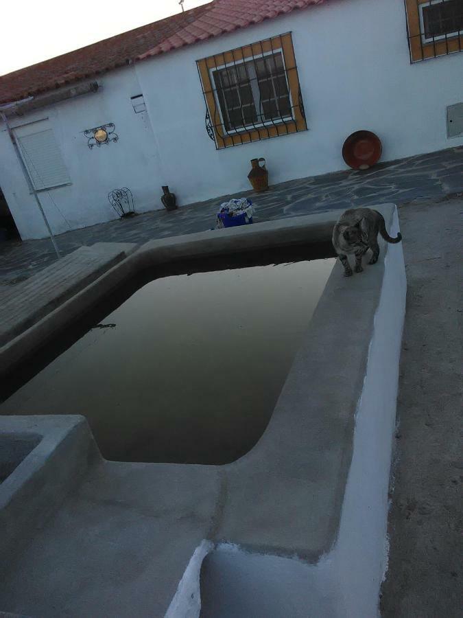 Quintinha Dos Pombinhos Villa Montoito Ngoại thất bức ảnh
